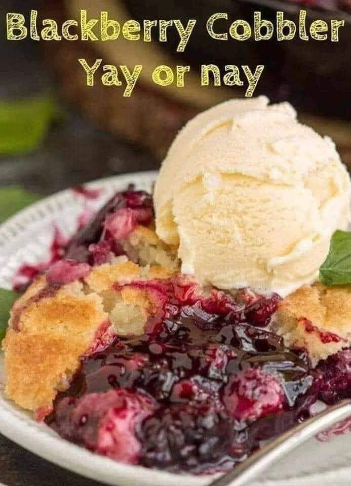 Easy and Delicious Homemade Blackberry Cobbler – Perfect for Any Occasion